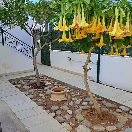 Dimitris Place Near Athens Airport Koropion Exteriör bild