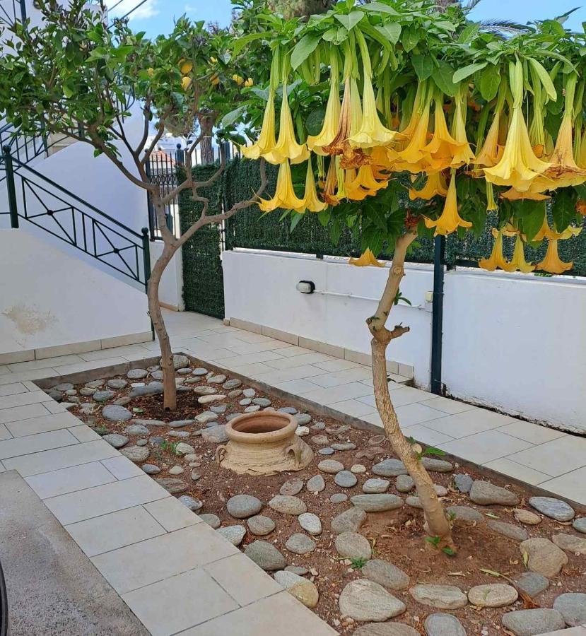 Dimitris Place Near Athens Airport Koropion Exteriör bild