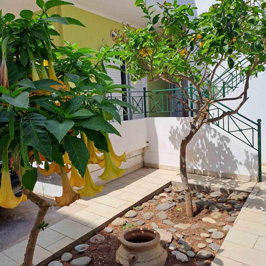 Dimitris Place Near Athens Airport Koropion Exteriör bild